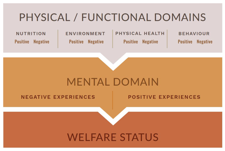 The Five Domains