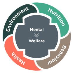 Training - How to Assess Welfare: the Five Domains Model